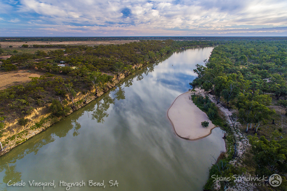 Направление реки муррей. Муррей (Марри). Река Дарлинг в Австралии. Река Муррей в Австралии.